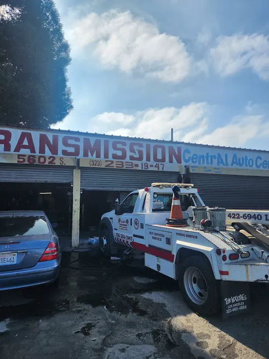 Lion Transmission 0
