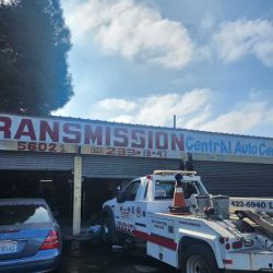 Lion Transmission ico