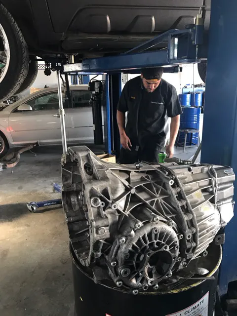 Lion Transmission 4