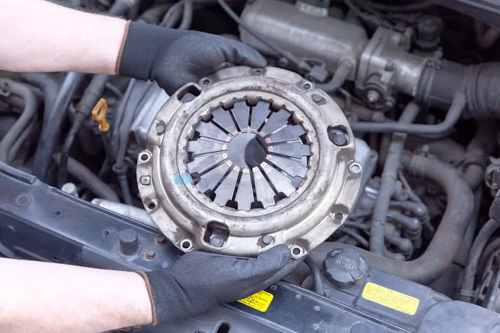 Lion Transmission 7