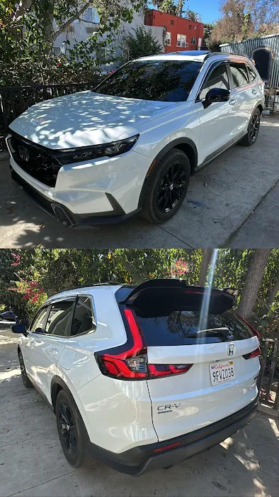 Road Runner Auto Collision 2