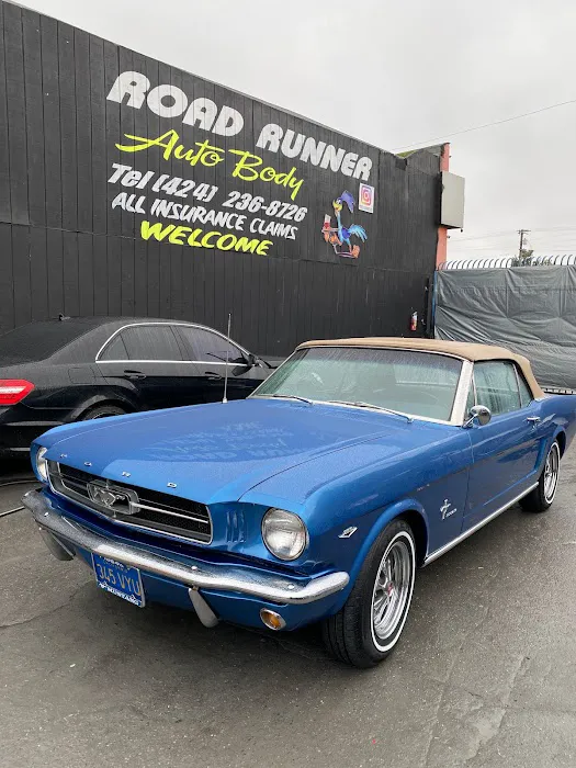 Road Runner Auto Collision 4