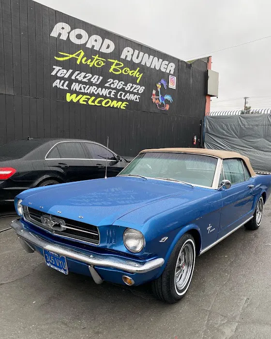 Road Runner Auto Collision 5