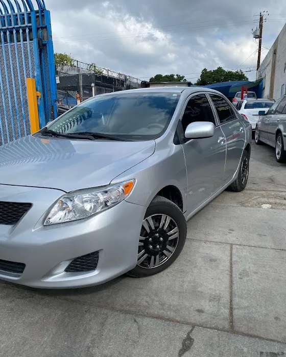Road Runner Auto Collision 9