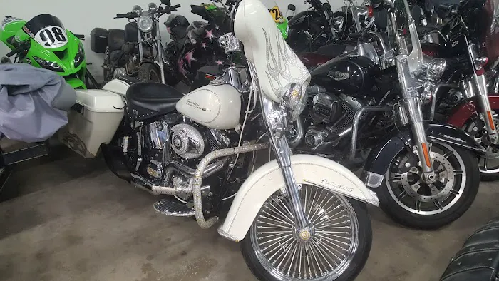 Live Fast Cycles 1