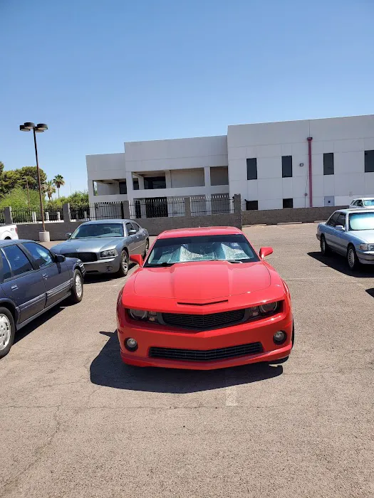 Chapman Collision Tempe 7