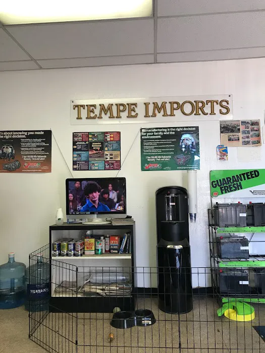 Tempe Imports 6