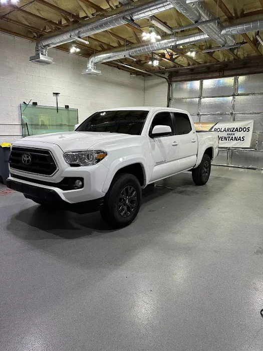 Precision Cut Window Tint 7