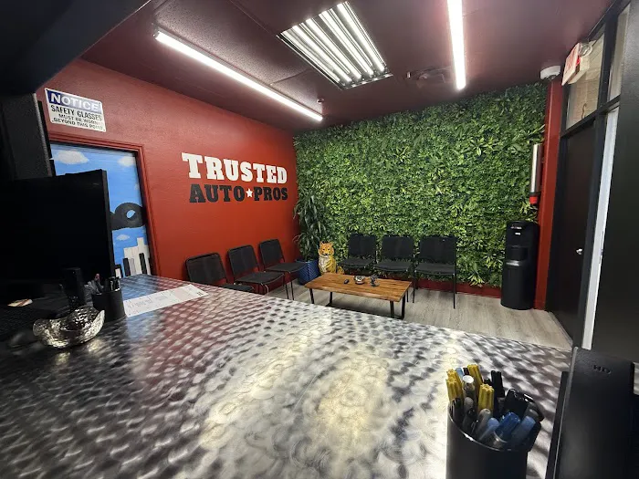 Trusted Auto Pros 6