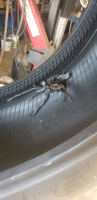 Don Foshays Discount Tire & Alignment Camden 5