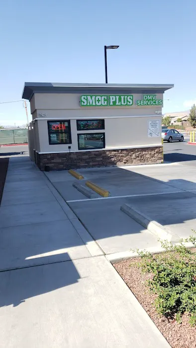 Smog Plus DMV Registration Services 1