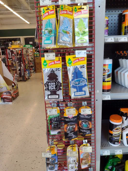 O'Reilly Auto Parts 6
