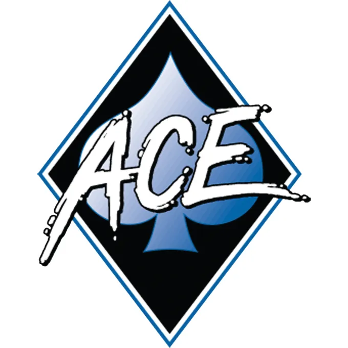 ACE Automotive Service 9