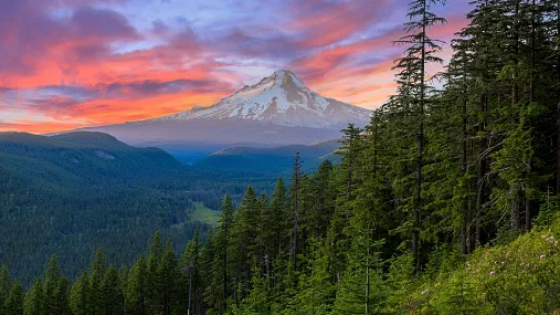 Cascadia Southwest RV Service & Repair 0