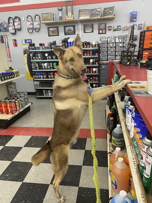 Lakeland Auto Parts-West Milford 1