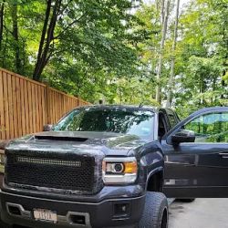 Golden Customs ico