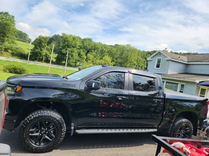 Frisbie Window Tinting and Detailing 1