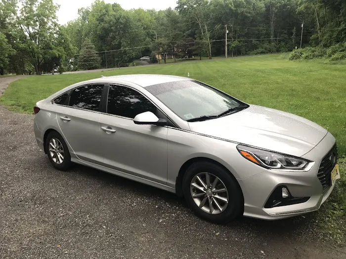 Frisbie Window Tinting and Detailing 7