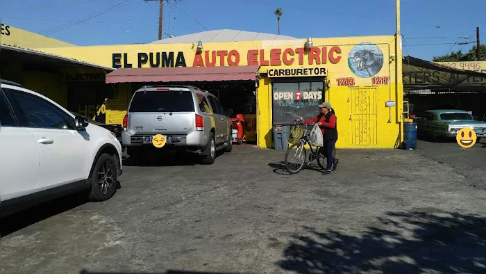 El Puma Electrico 2