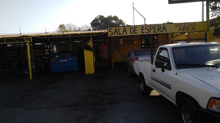El Puma Electrico 0