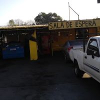 El Puma Electrico