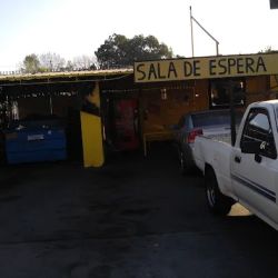 El Puma Electrico ico