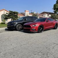 Kartunes tinting