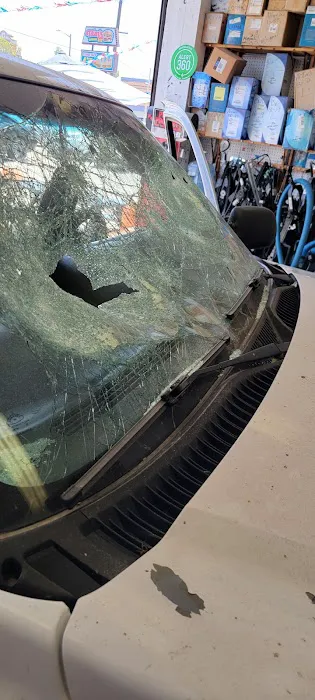Salvador's Auto Glass 4