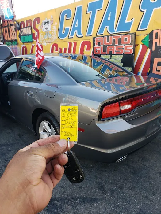 Kovy Autoglass L.A 8