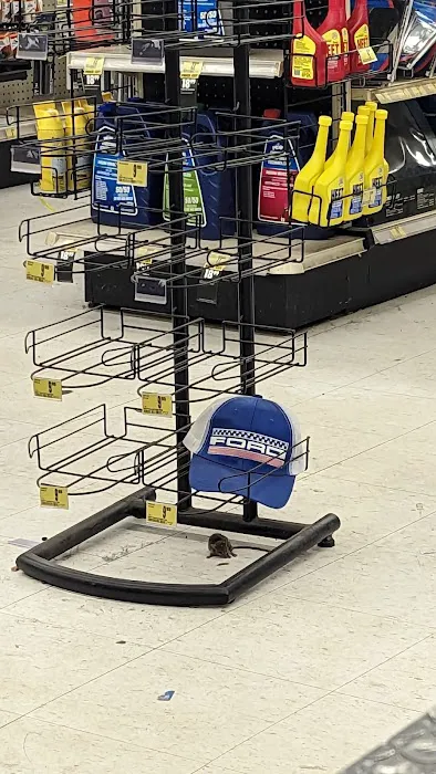 Advance Auto Parts 4