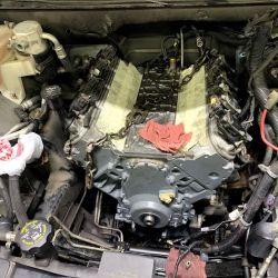 Paul's Auto Repair, Inc. ico