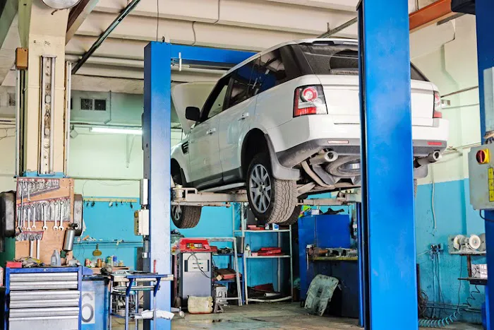 Terri-Pinto Auto Repair 5