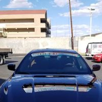 Ramos Window Tint Mr.T