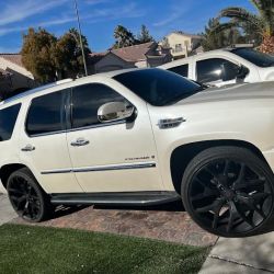 Professional Window Tint ico
