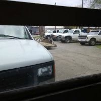 D & B Auto Glass