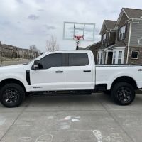 Classic Tint