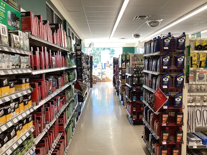 O'Reilly Auto Parts 6