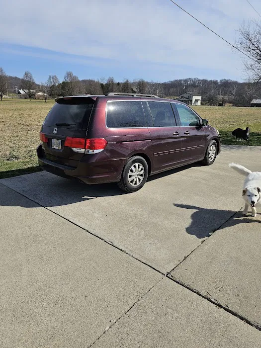 AutoDiagRX 2