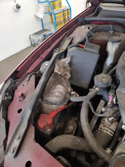 Walmart Auto Care Centers 3