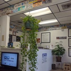 Smog Dog Palm Desert ico
