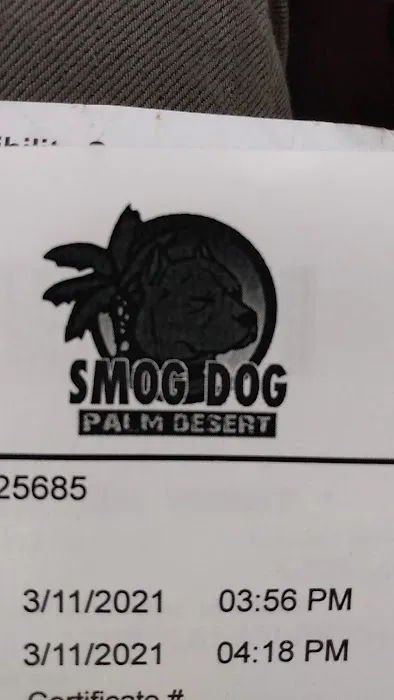 Smog Dog Palm Desert 4