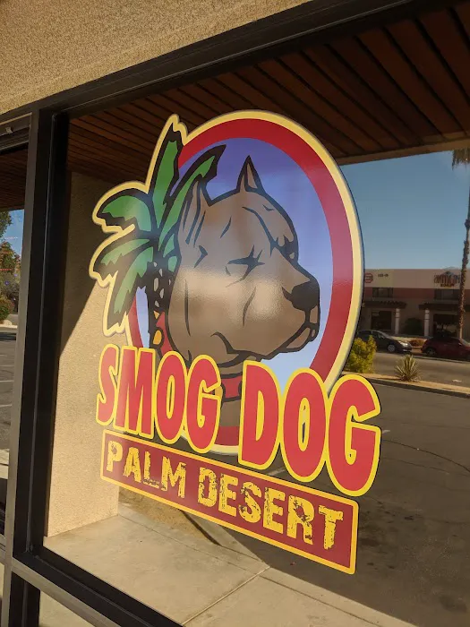 Smog Dog Palm Desert 6