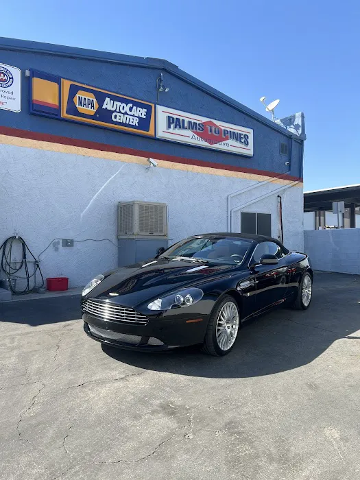 Palms to Pines Automotive 3