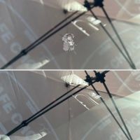 Safe Choice Auto Glass (Repair Specialist)