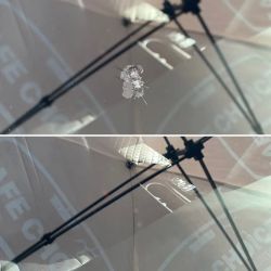 Safe Choice Auto Glass (Repair Specialist) ico