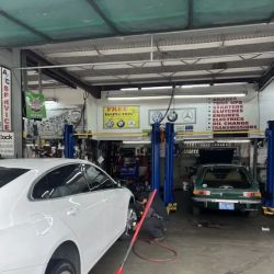 New Sun Auto ico