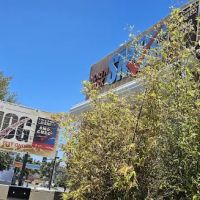 North Park Smog Test Only