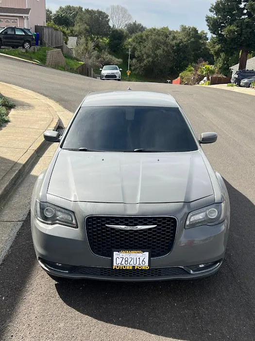 Hella Tints 1
