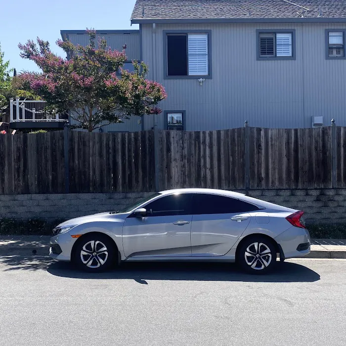 Hella Tints 4