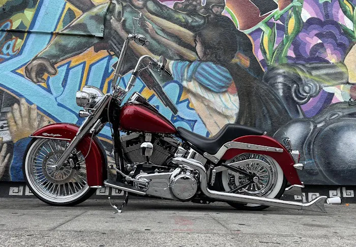 Suicidal Custom Cycles 1